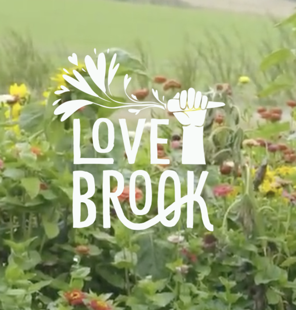Lovebrook