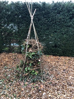 Tepee of habitat materials.