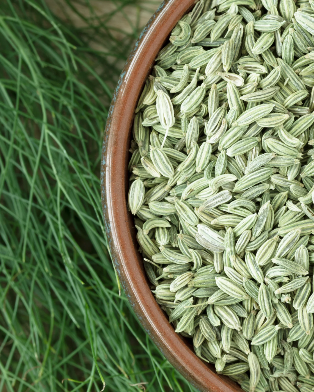 Fennel to Support the Digestive System