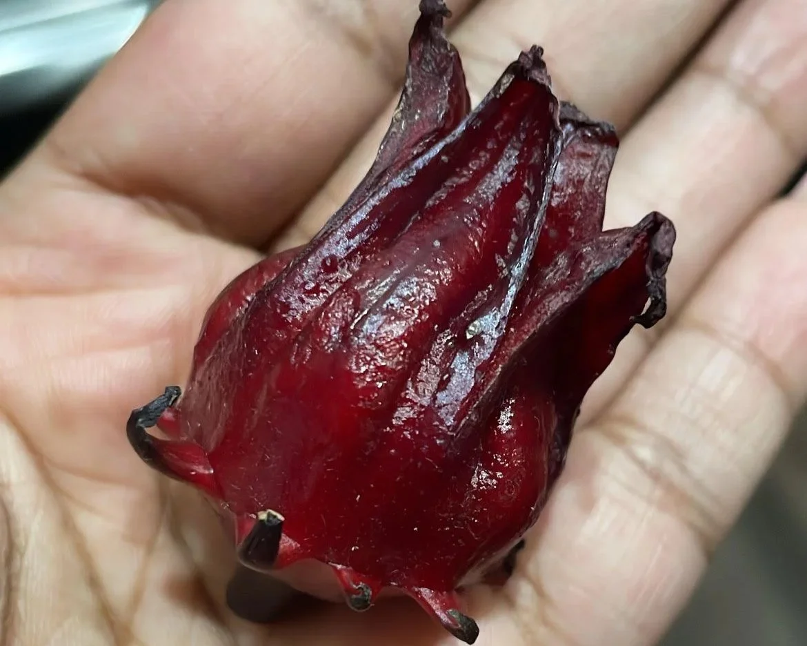 Herbal Deep Dive: Hibiscus (Hibiscus sabdariffa)