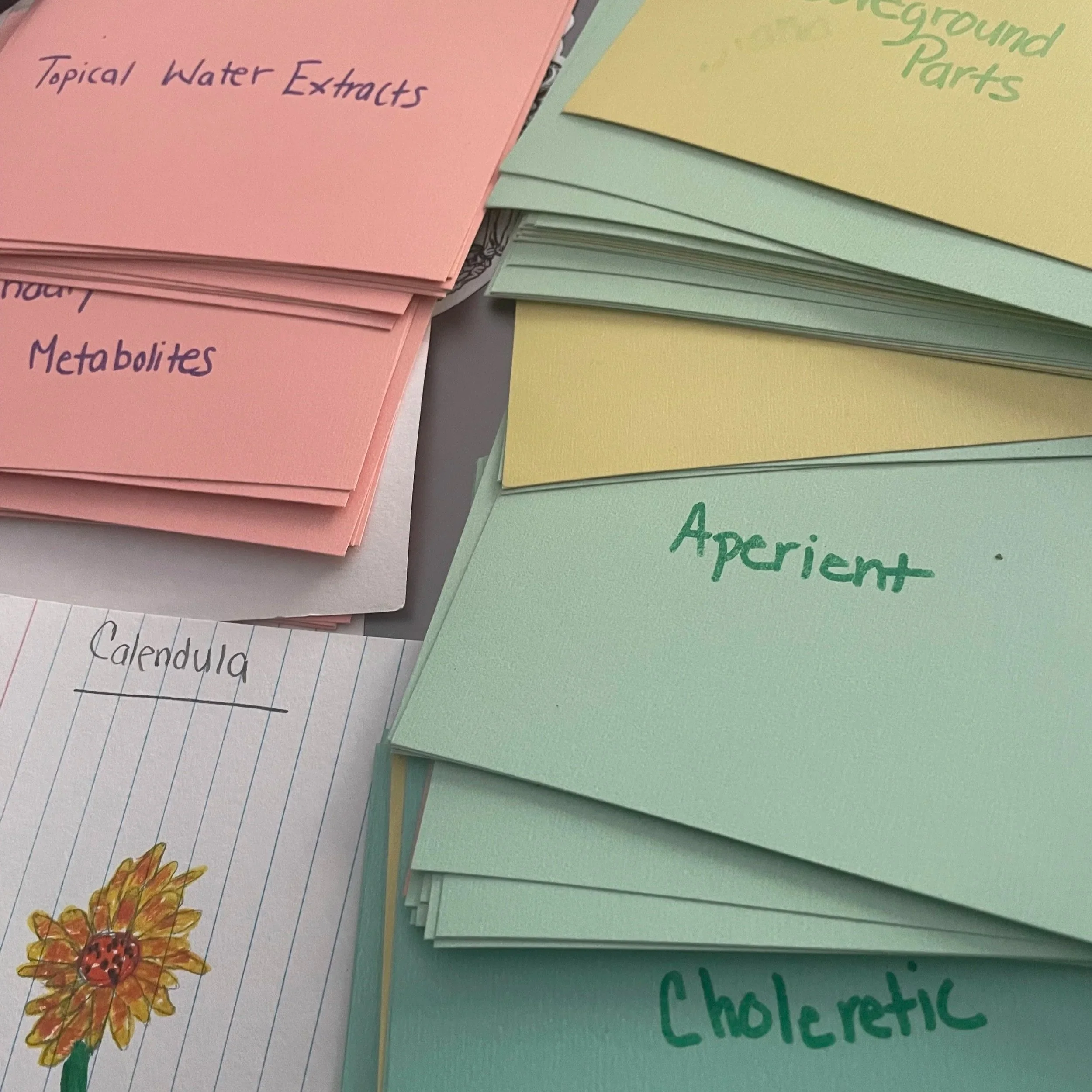 Herbalism Terminology 101