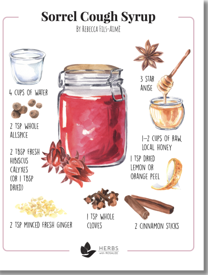 Sorrel Cough Syrup and Herbs with Rosalee