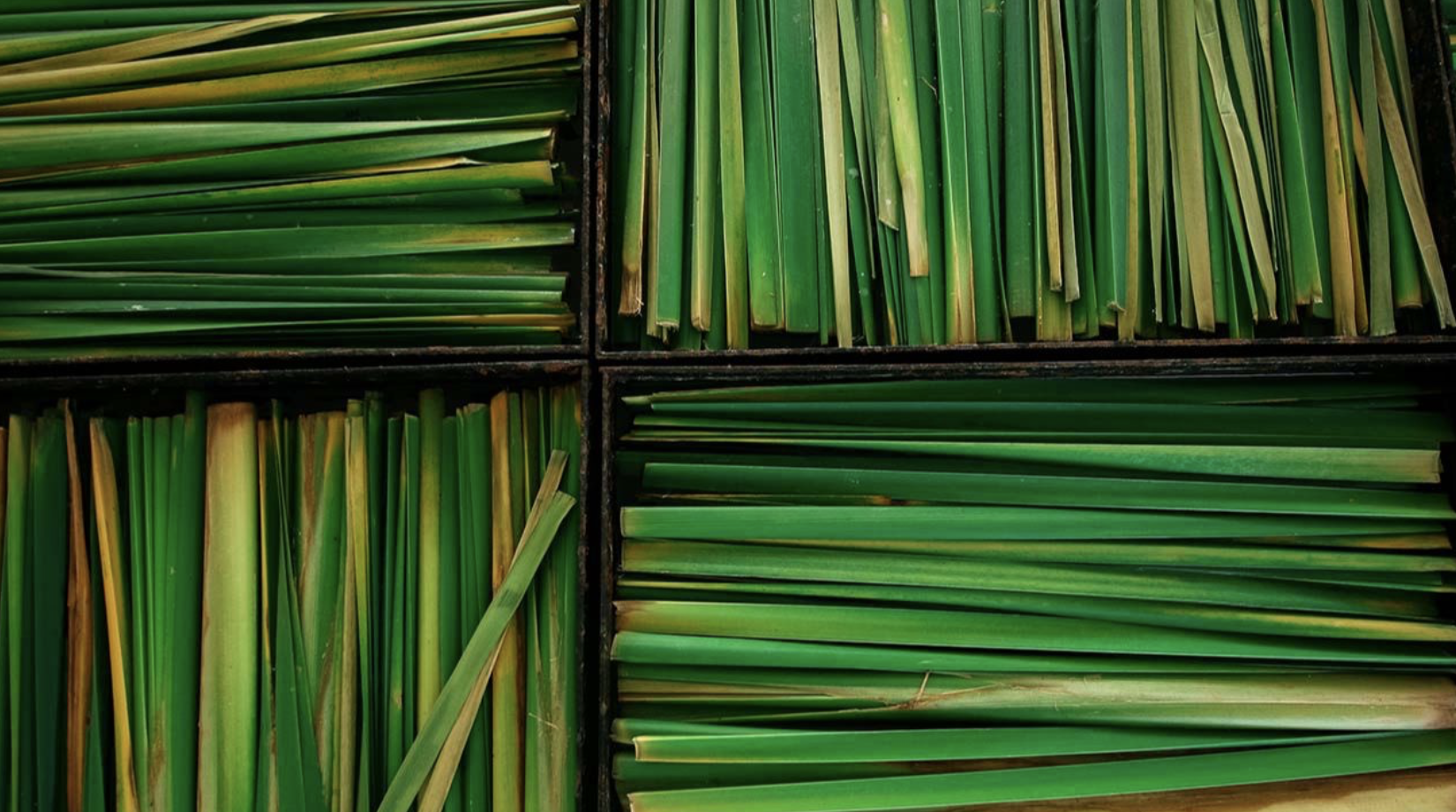 An image of lemongrass layered on top of each other