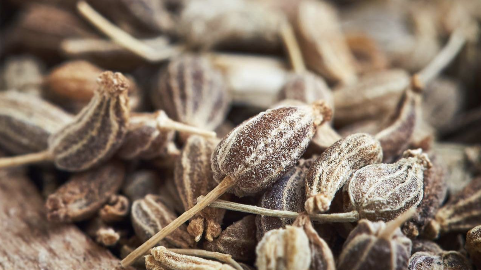 Anise seeds: small and brown with beige striations