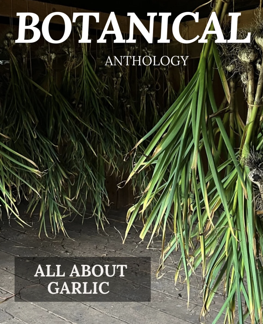 The magazine cover shows an image of garlic hanging in a shed to dry