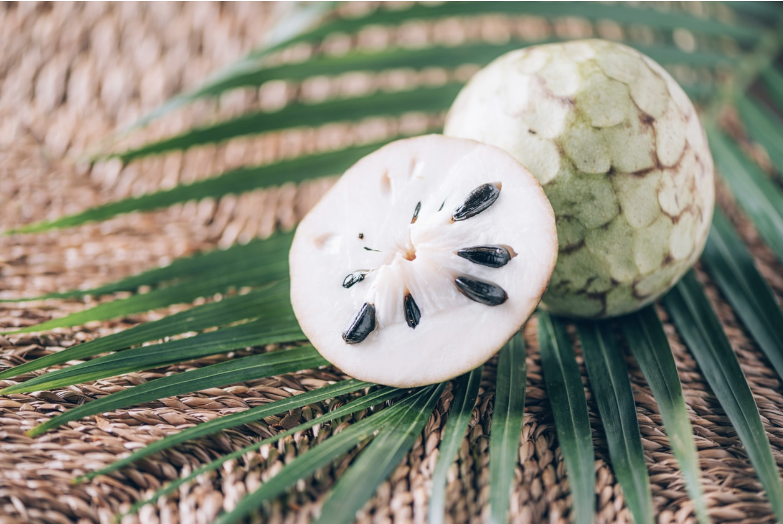 Opened soursop fruit, which has green scaly skin, white flesh, and large white seeds.