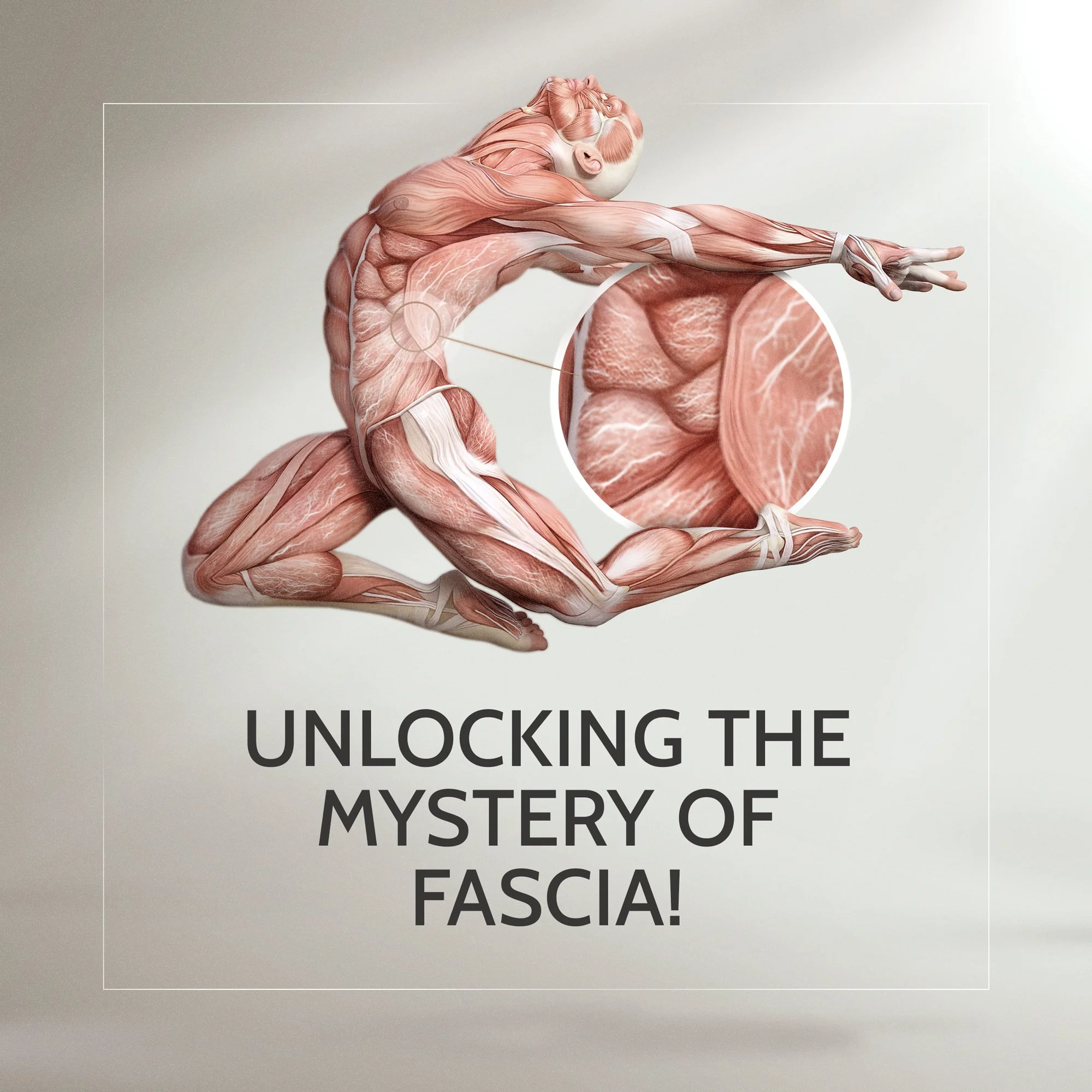 There is so much MIS-information about fascia. Come learn from Ashley Black, fascia pioneer and best selling author how important your fascia really is! 🤎 
Fascia is our lifeforce, providing “electricity” to power up our cells. Fascia s