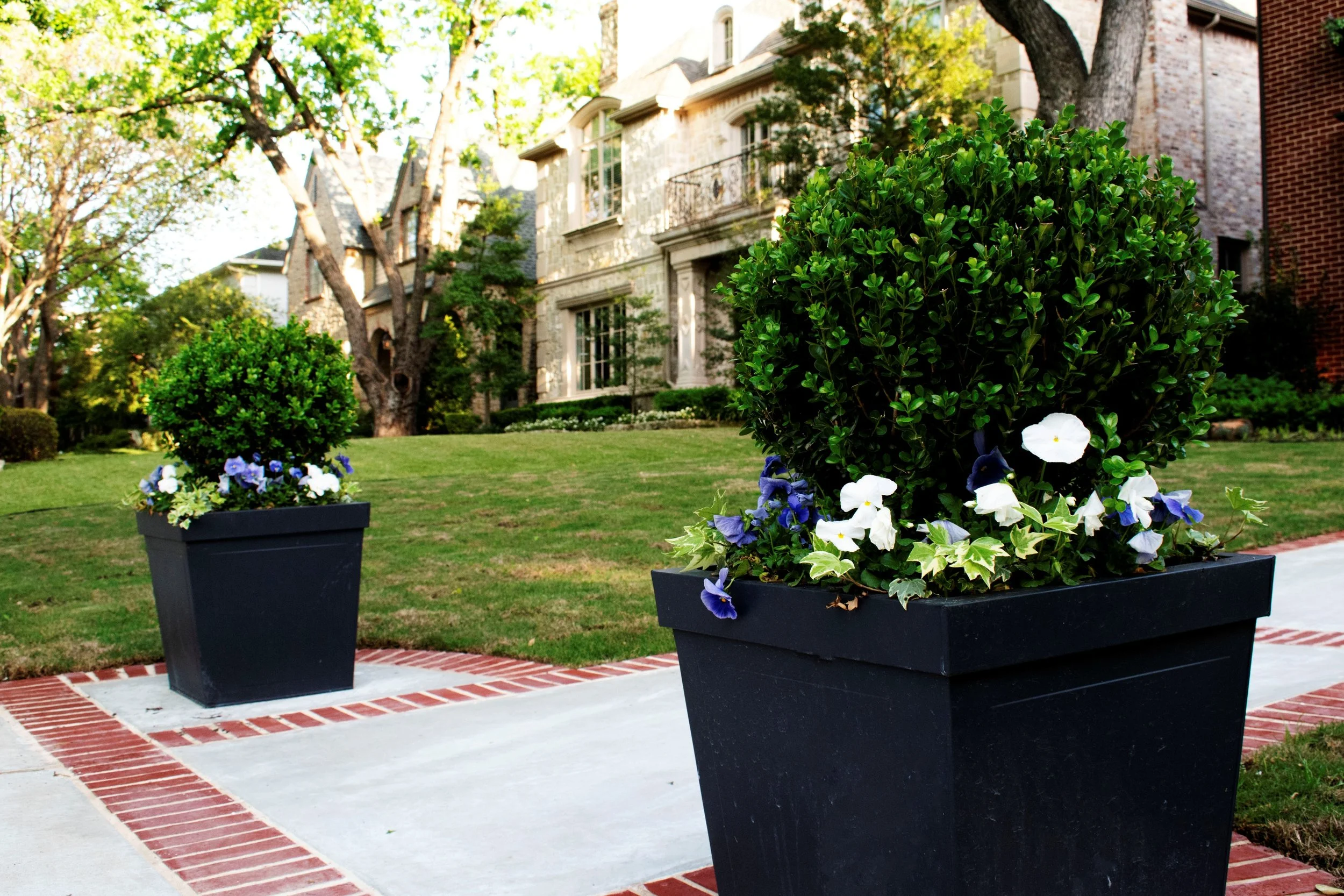 Symmetrical planters and refined hardscape design at a classic Dallas residence