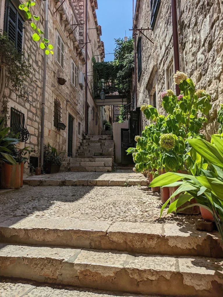 Stone steps leading up in a narrow alleyway with potted plants and flowers on the sides, and old stone buildings on both sides.