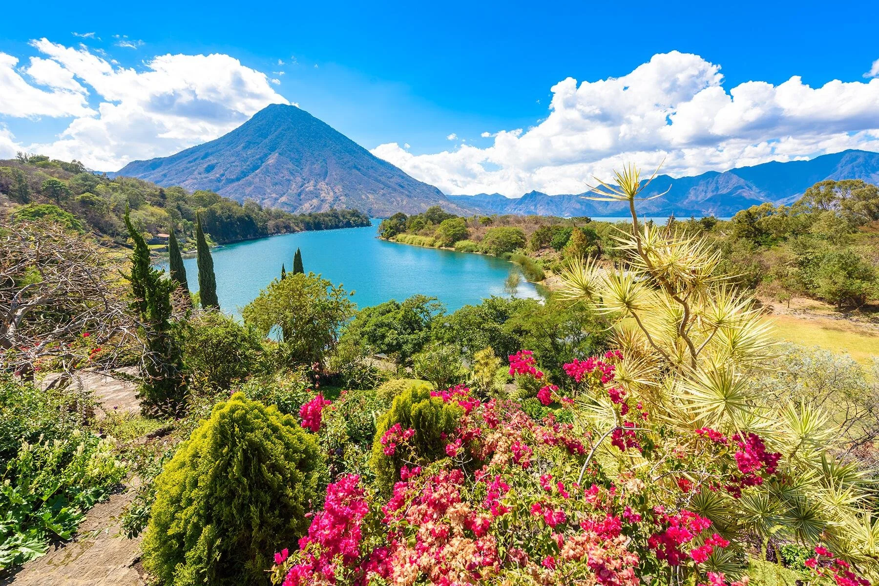 A scenic landscape featuring a volcano in the background, a lake in the middle ground, and vibrant flowering plants in the foreground under a partly cloudy sky.