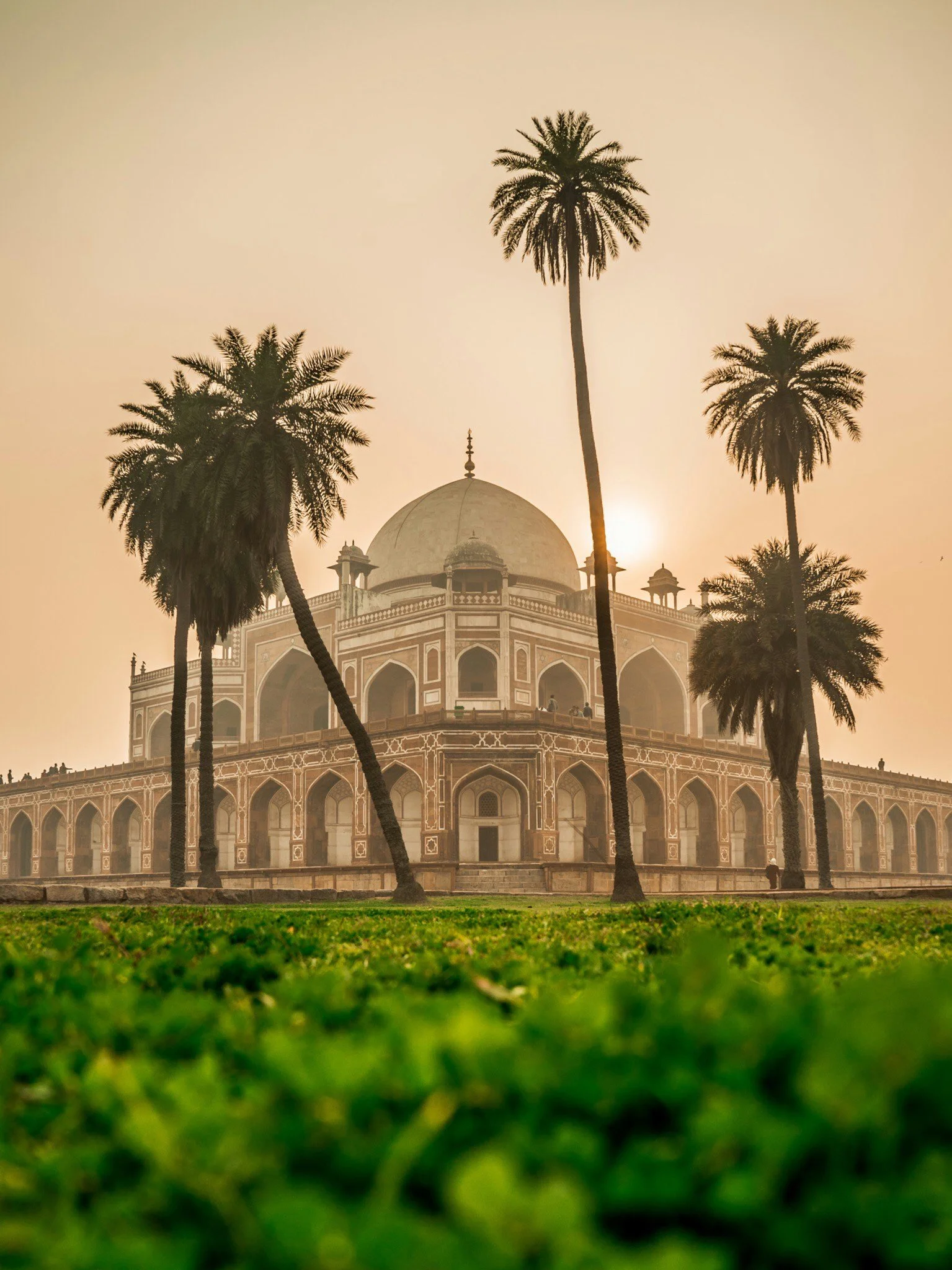 The Taj Mahal at sunset, viewed from ground level with green grass in the foreground and palm trees around the monument.