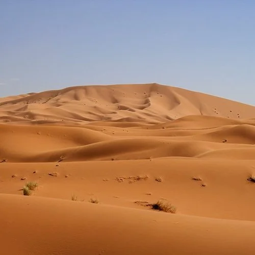 Sand dunes in a desert with a clear blue sky.