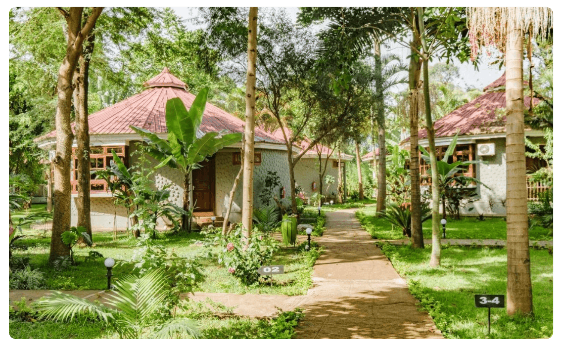 the+world+within+us+travel+tanzania+sustainable+hotel+1.png.webp