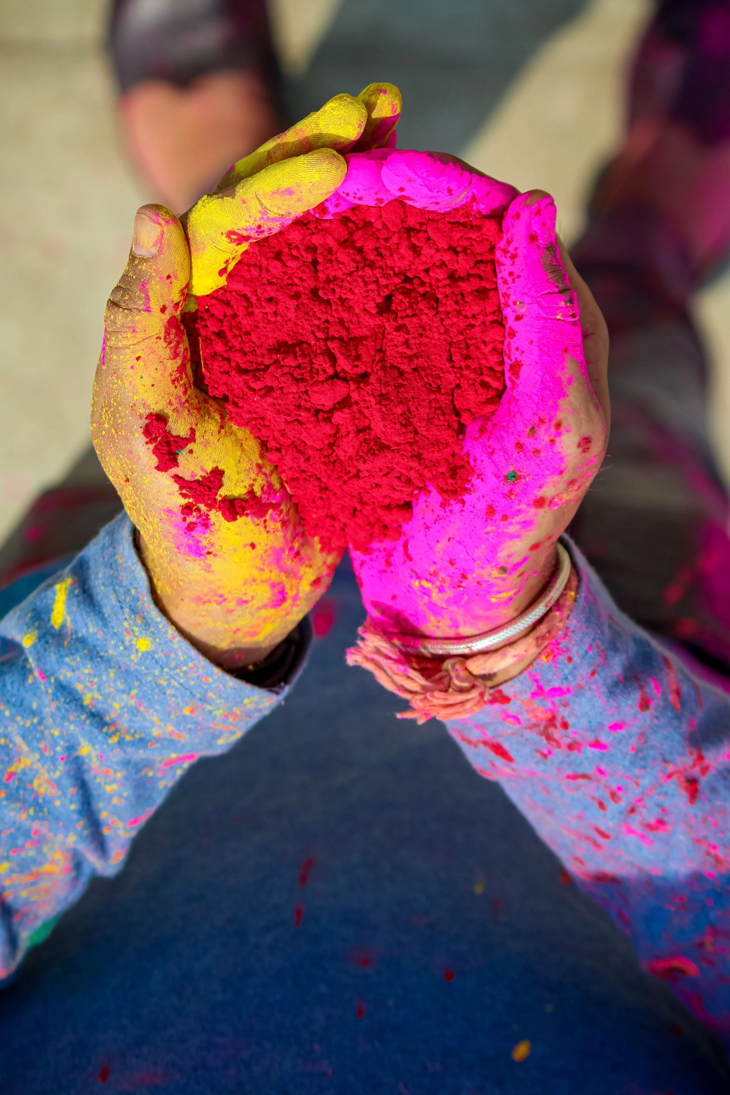pexels-mohit-suthar-1271363-11565585.jpg