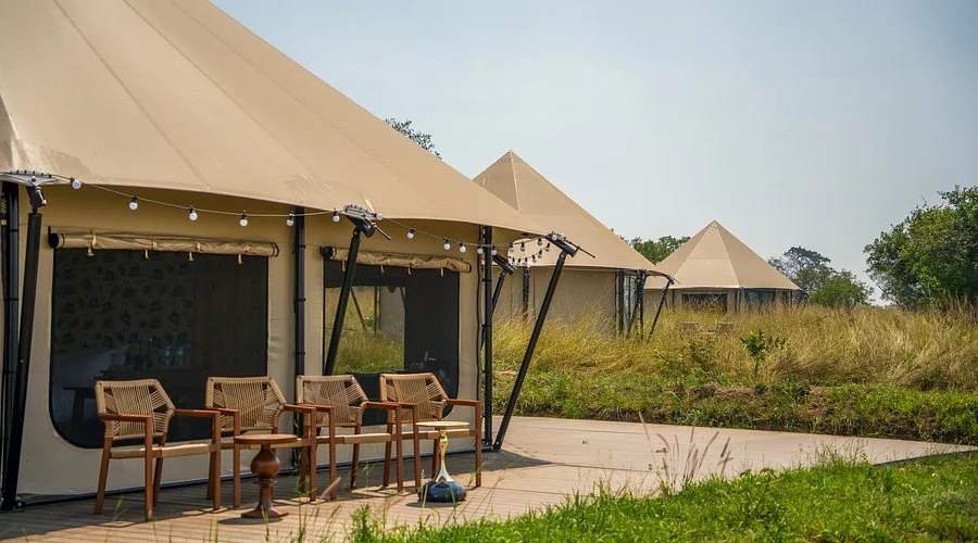 view-of-the-family-tent.jpg