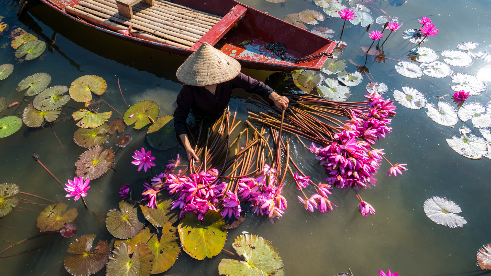 Vietnam: Lanterns, Stories and Legacy (April 2026)
