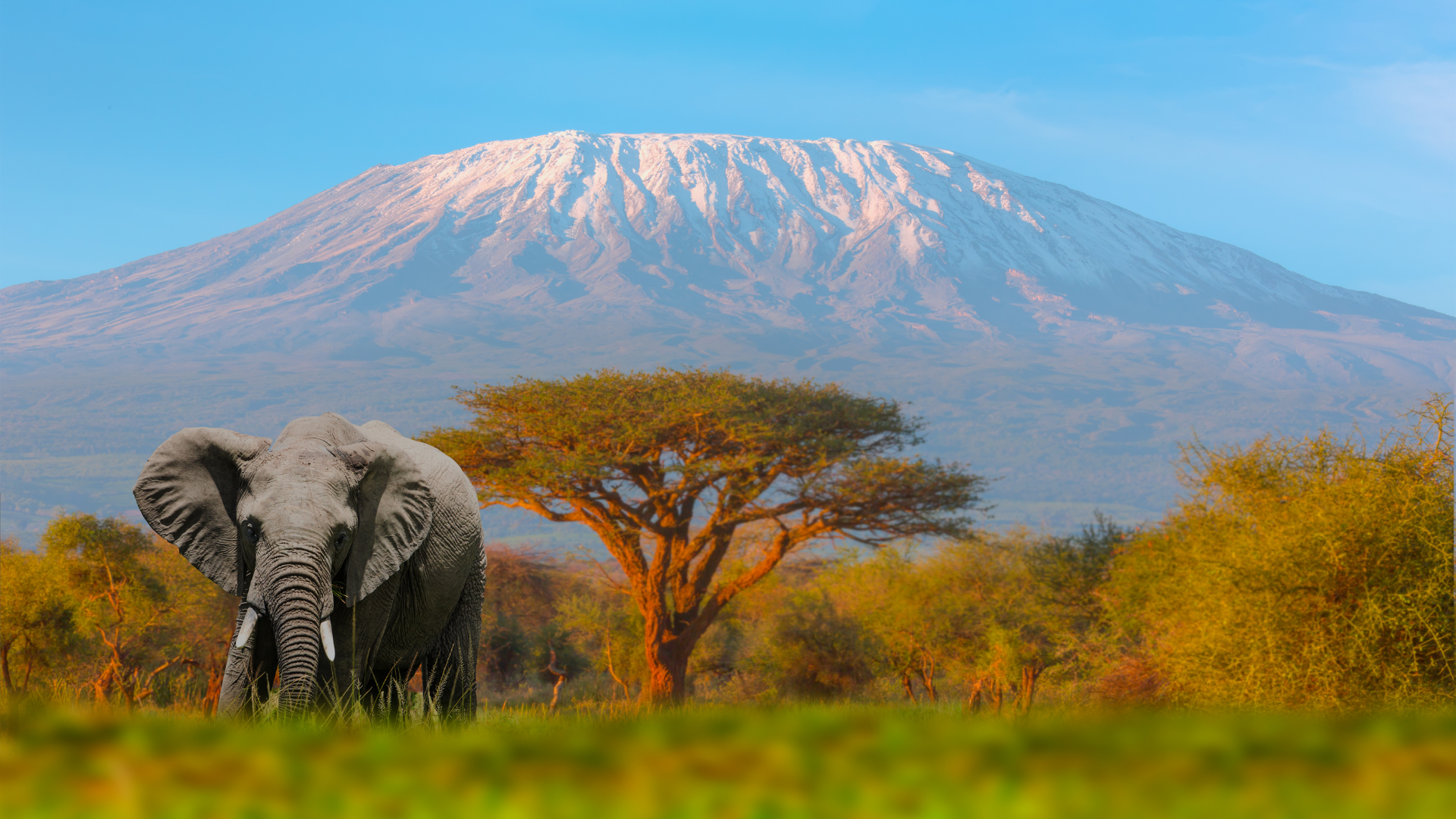 Tanzania: Serengeti & Friendsgiving