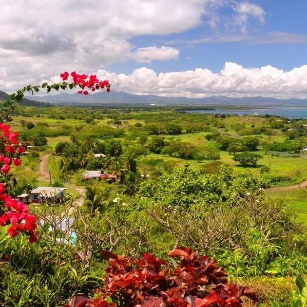 Scenic view of a lush green landscape with trees, buildings, and a body of water in the distance, under a partly cloudy sky, with bright pink flowers in the foreground.