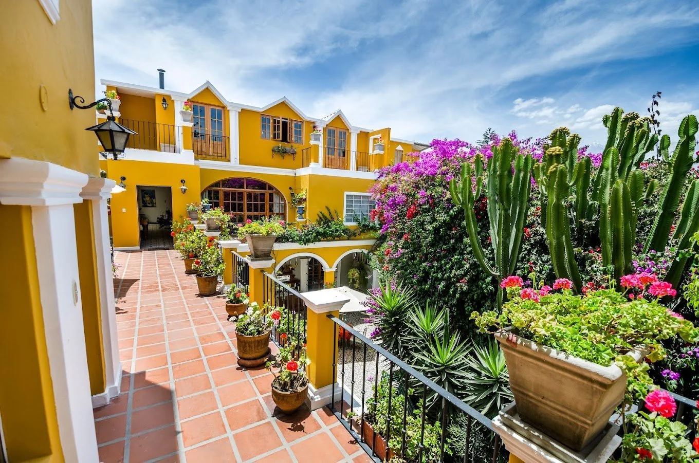 Colorful courtyard with yellow building, potted plants, and blooming flowers and cacti, under a blue sky.