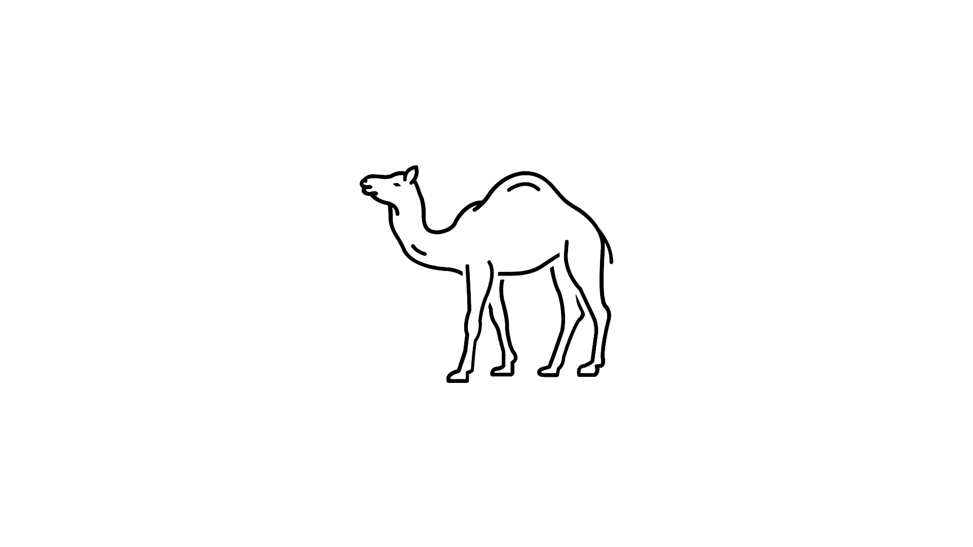 Neon sign of a camel outlined in white on a black background.