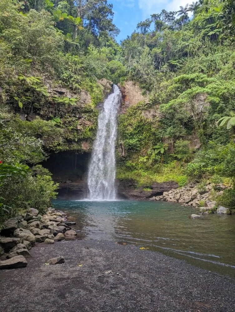 A tall waterfall flowing into a pool surrounded by lush green forest and rocks.