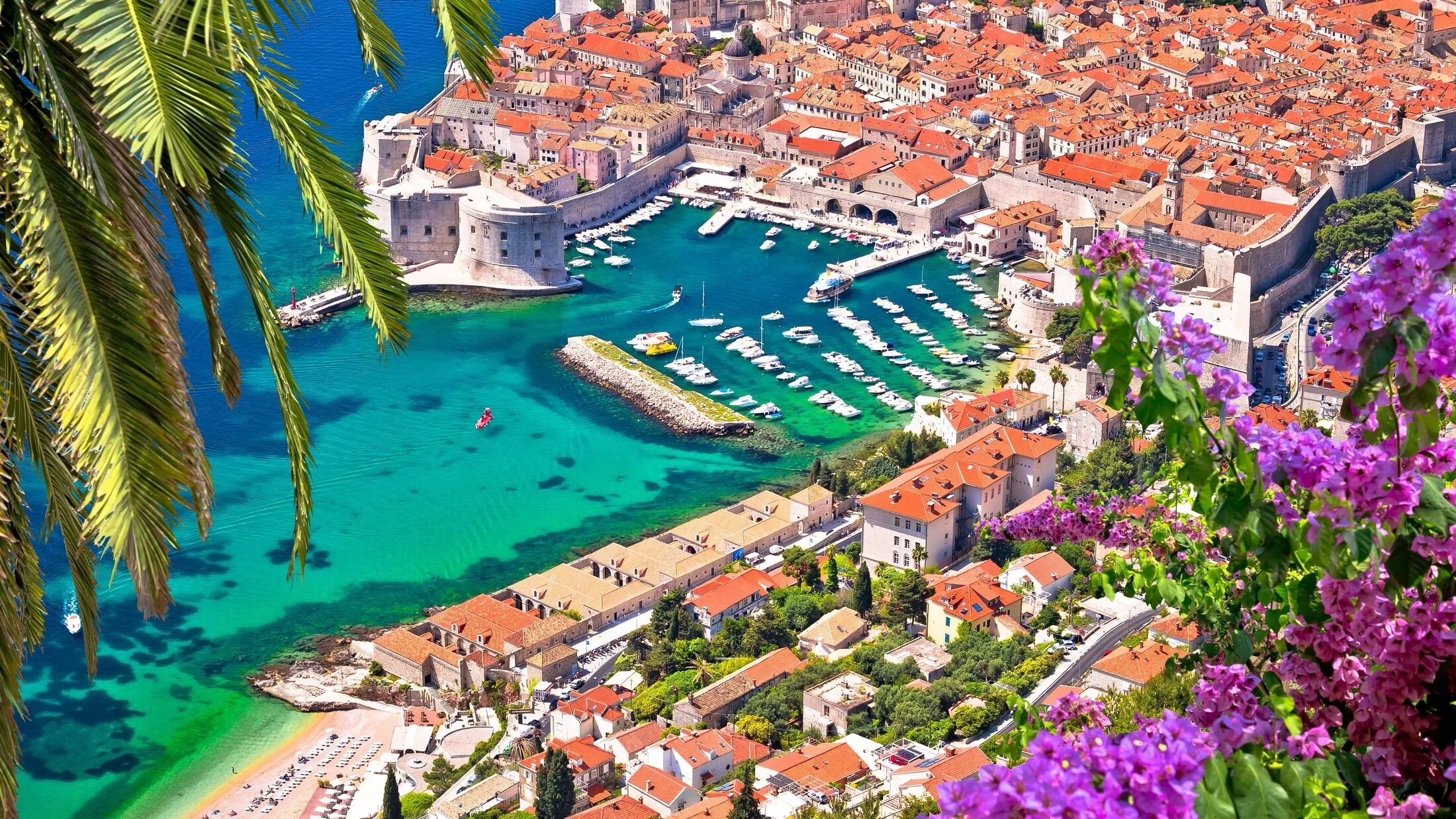 Aerial view of a historic coastal city with a large harbor filled with yachts, surrounded by orange-roofed buildings, medieval fortress walls, lush green vegetation, palm trees, and vibrant purple flowers in the foreground.