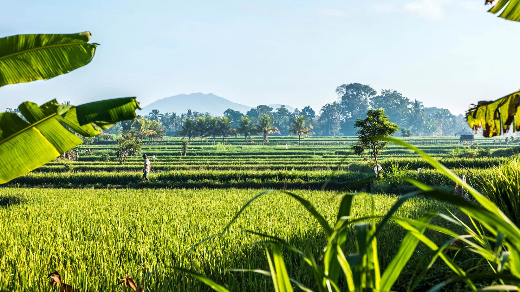 Bali: Purification and New Beginnings