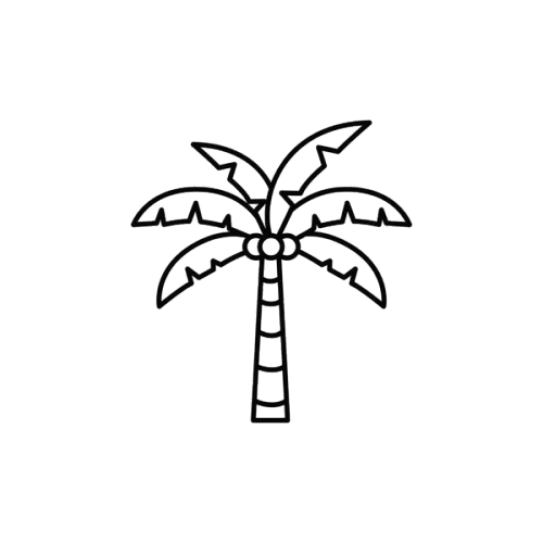 Line drawing of a palm tree with five leaves and a textured trunk.