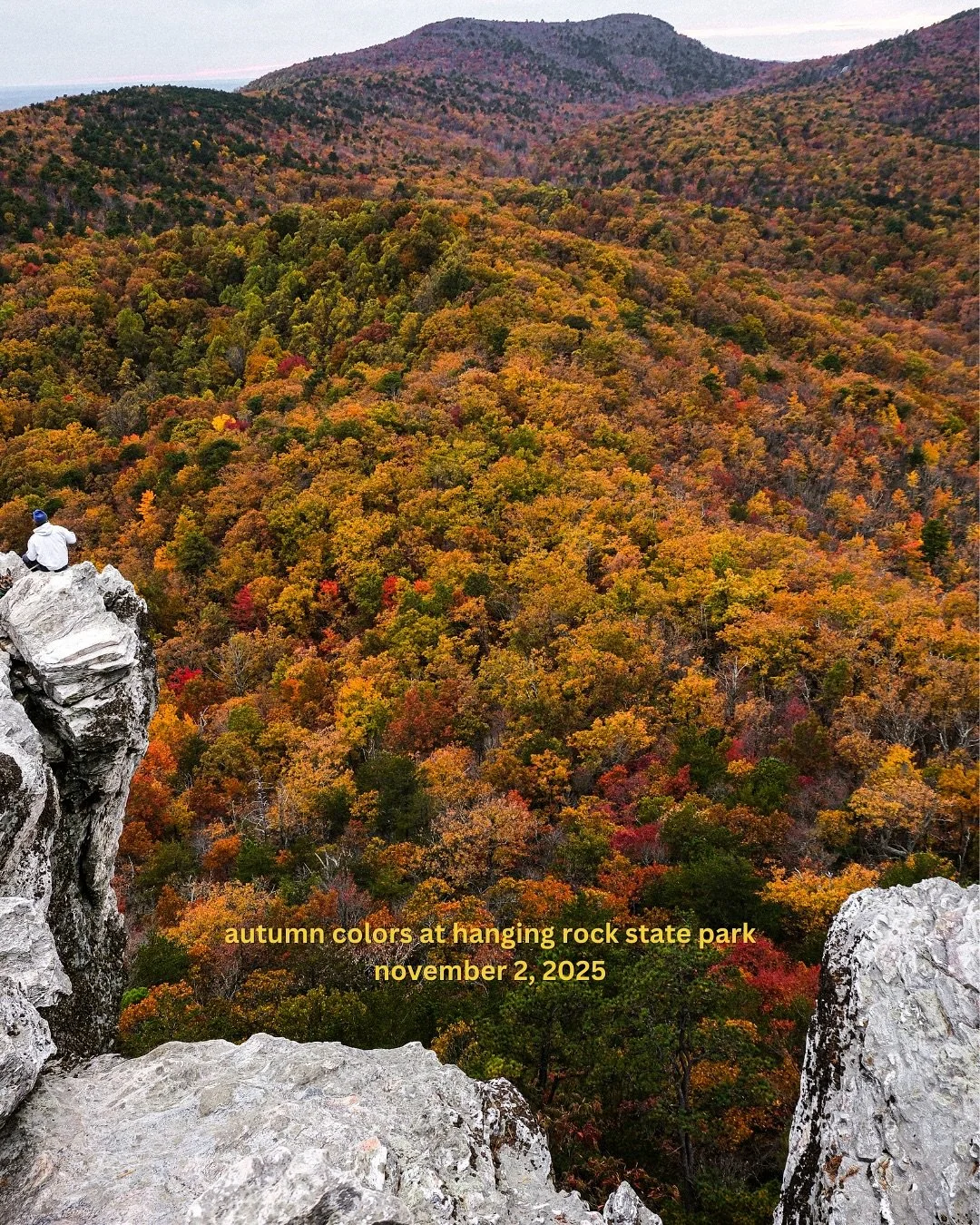 🌳🍃🍂 peak colors in nc :&rsquo;)