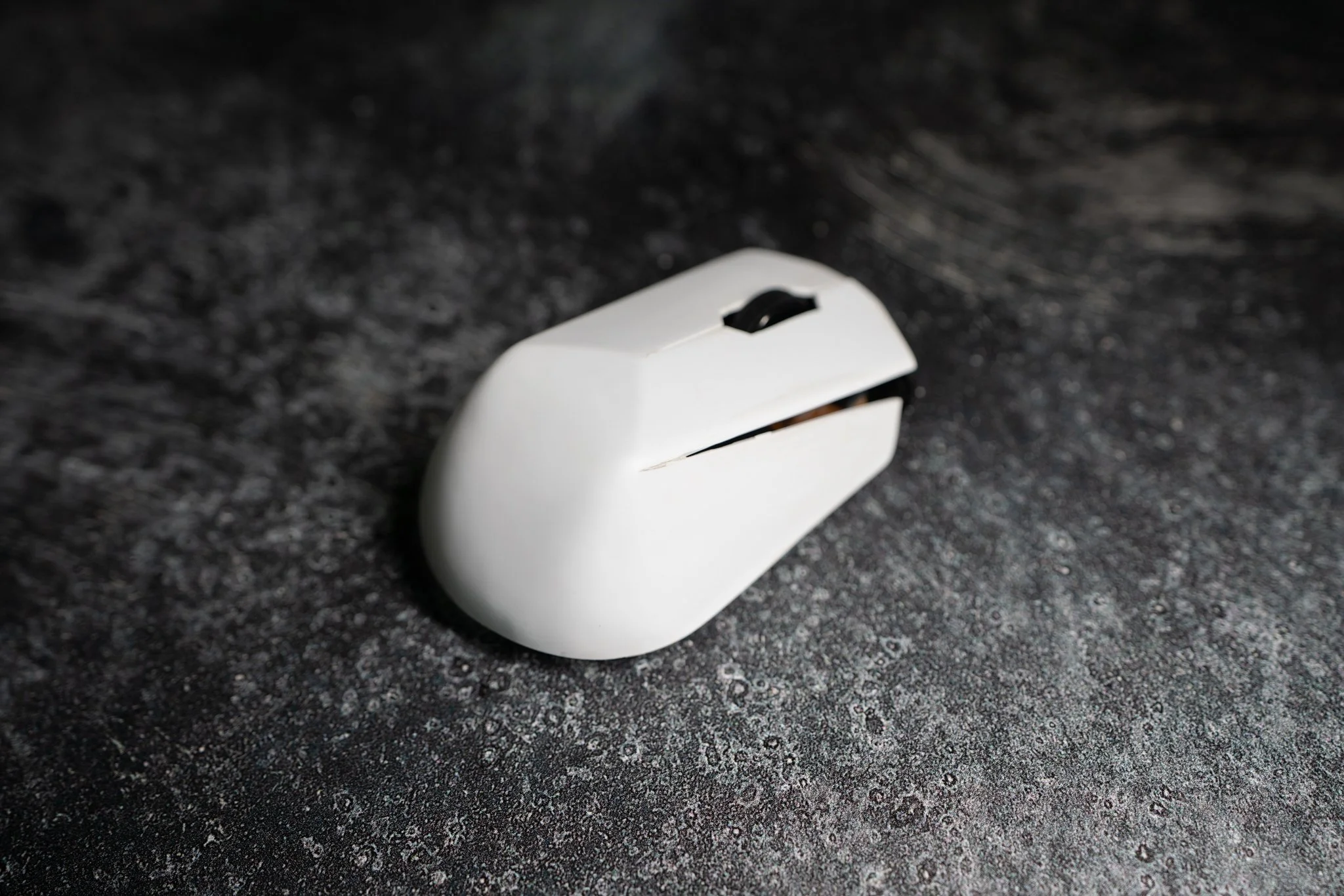 2025_8_3 Chaz Mouse-4.jpg