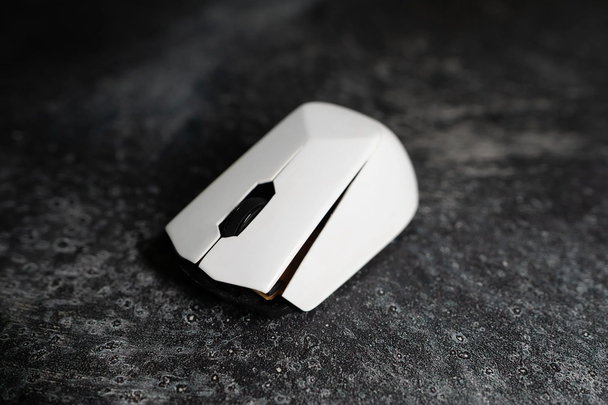 2025_8_3 Chaz Mouse-1.jpg