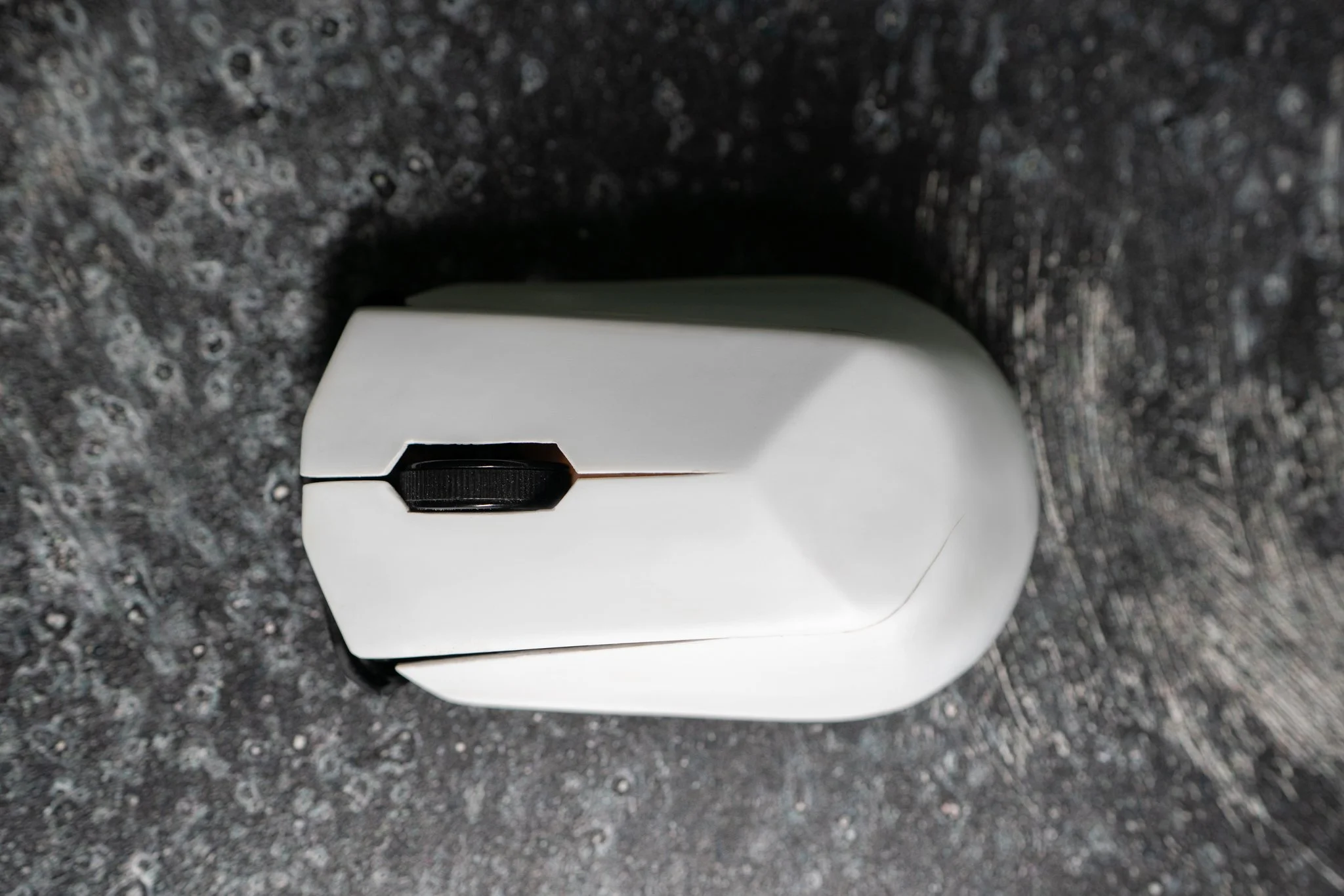 2025_8_3 Chaz Mouse-2.jpg