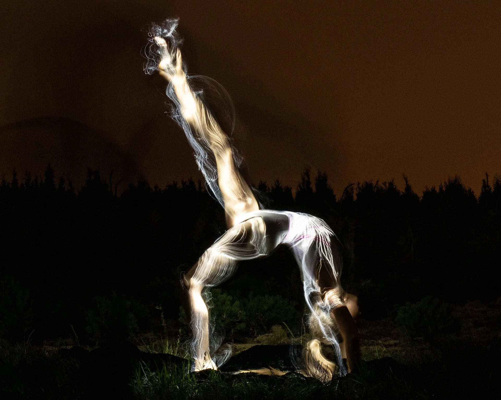 A long exposure photograph of a horse-shaped figure outlined in bright, swirling light against a dark night sky with a silhouette of trees in the background.