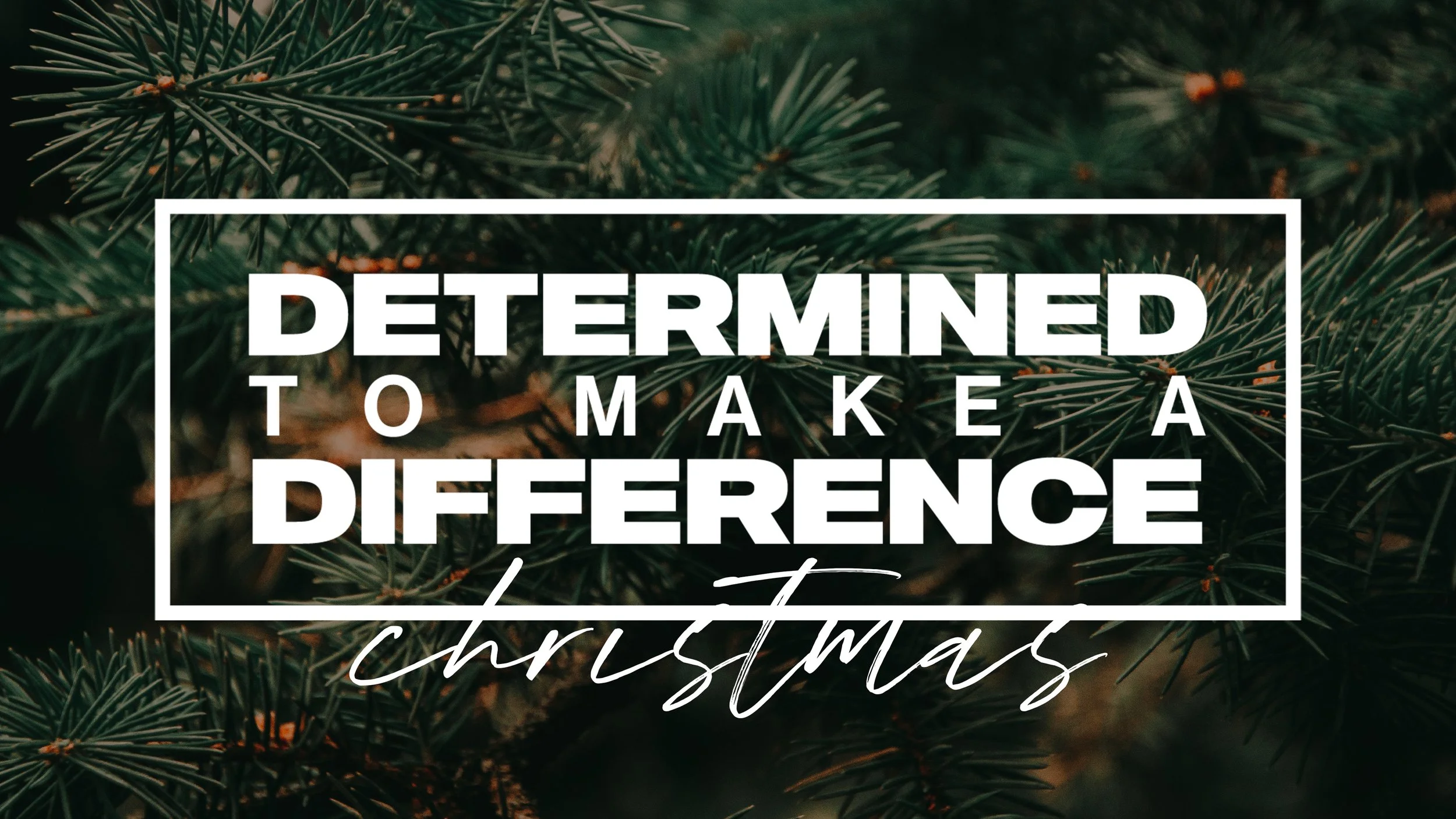 Determined to Make a Difference and Christmas