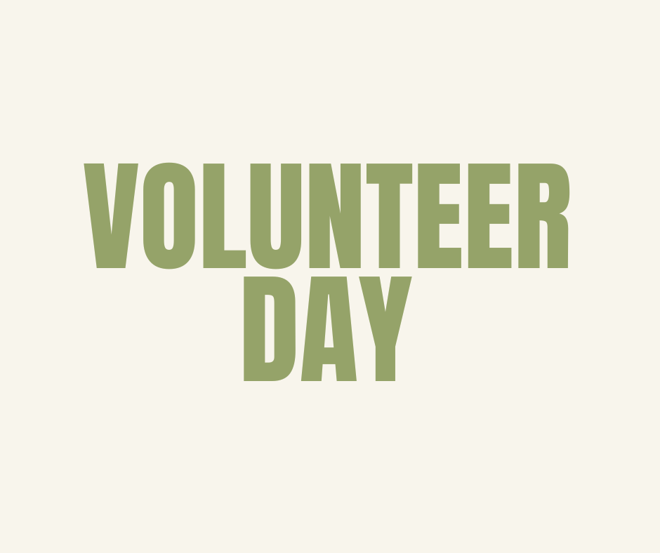 Volunteer Day