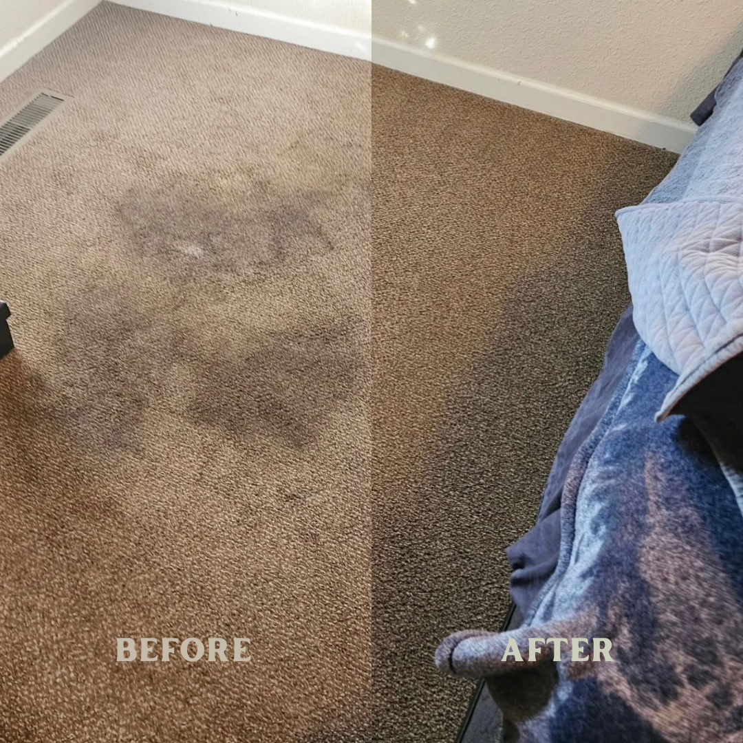 Comparison of a carpet before and after cleaning, showing removal of dirt and stains.