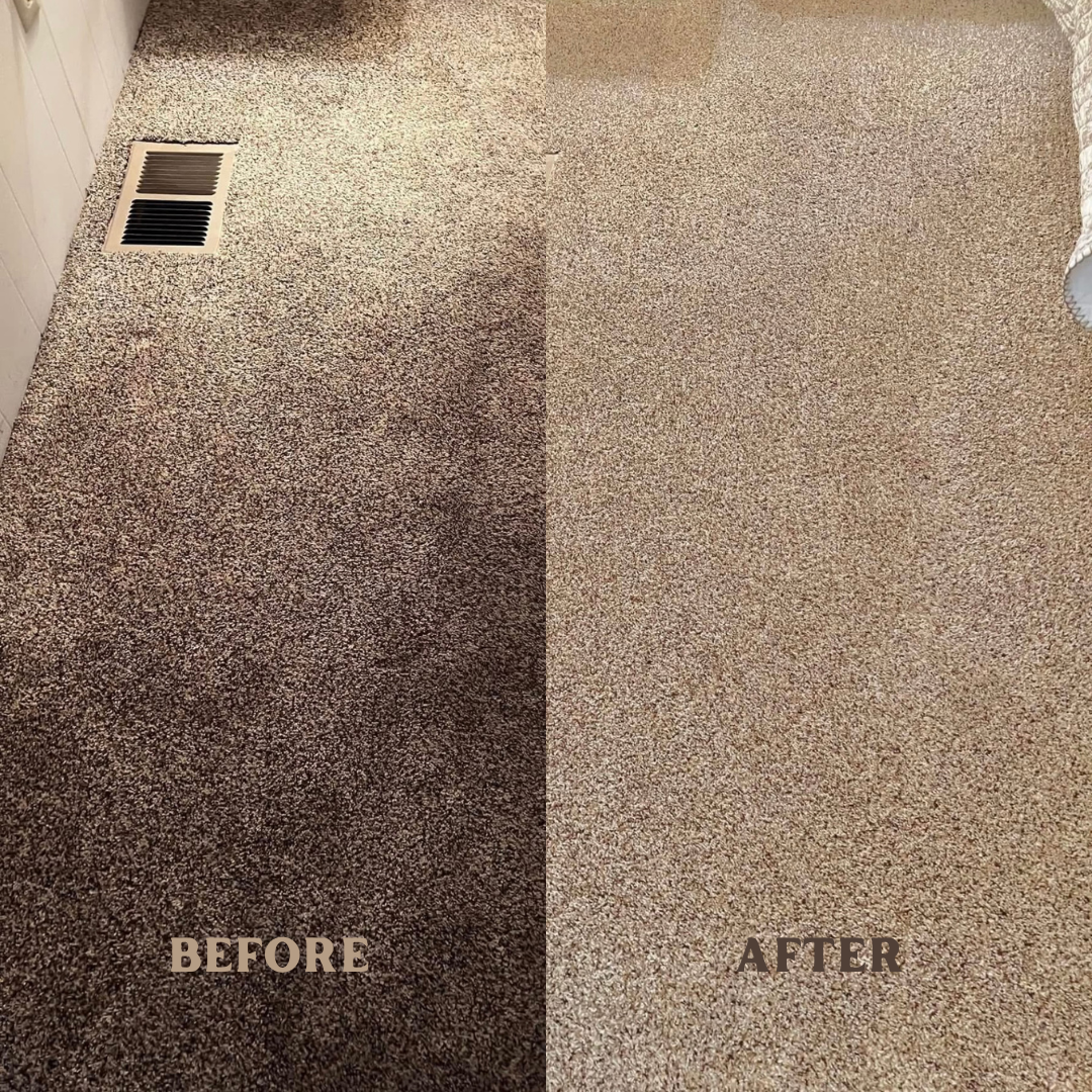 Comparison of stained and cleaned carpet, with the left side showing a dark, stained area and the right side showing a clean, lighter area