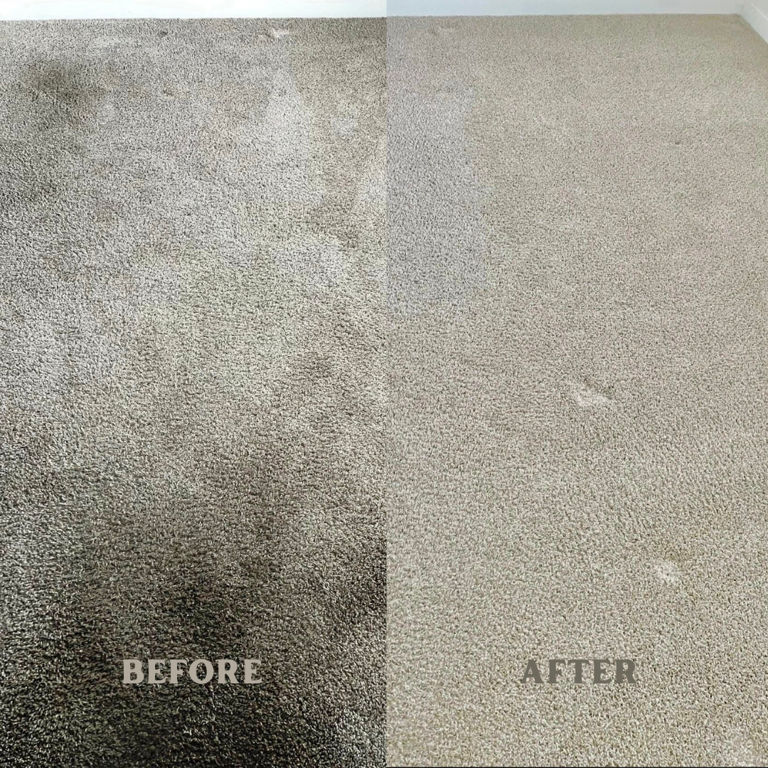 Side-by-side comparison of a carpet, showing a stained, dirty section on the left labeled 'BEFORE' and a clean, stain-free section on the right labeled 'AFTER'.