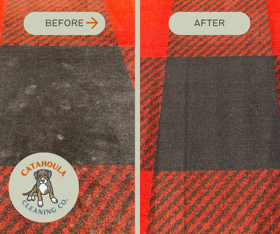 Comparison of a dirty and a clean dark gray area on a carpet with a red and black checkered pattern. The left side labeled 'BEFORE' shows the carpet with dirt, the right side labeled 'AFTER' shows it cleaned. A logo at the bottom left corner reads 'CATAHOUILA CLEANING CO.' with an illustration of a puppy.