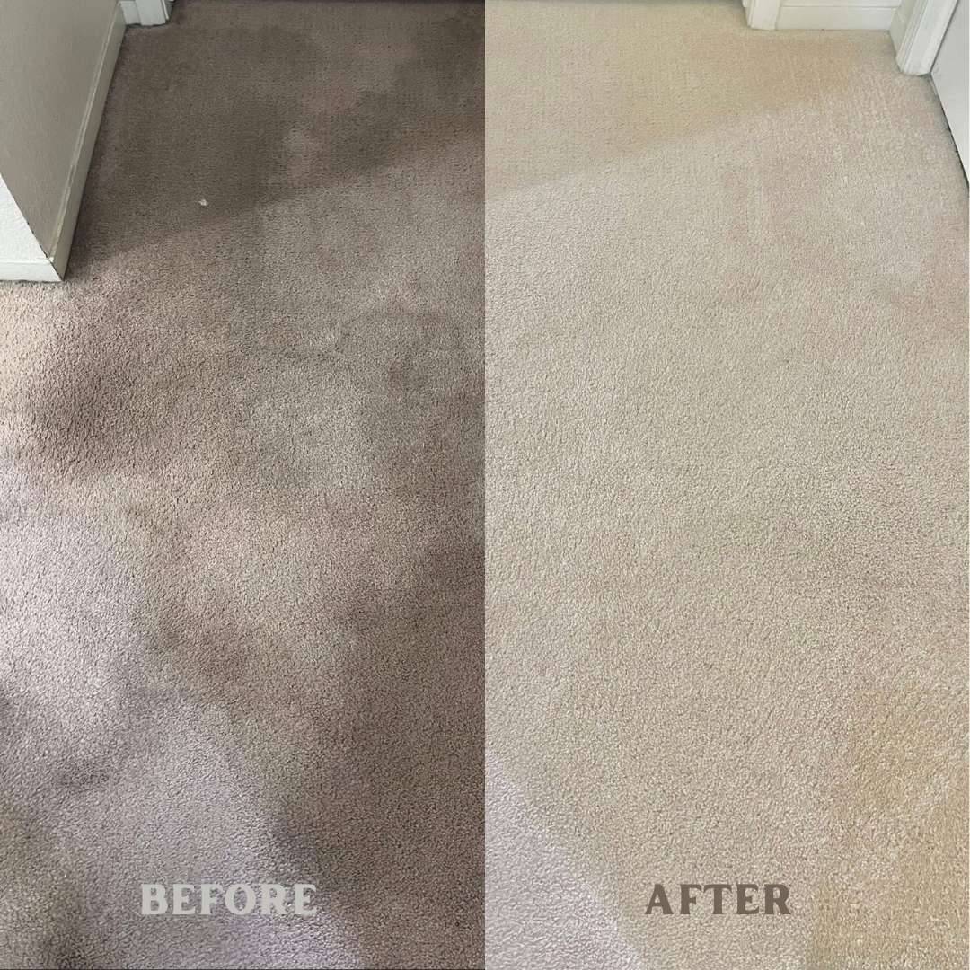 Side-by-side comparison of a carpeted floor before and after cleaning, with the left showing a dirty, stained carpet and the right showing a clean, freshly vacuumed carpet.