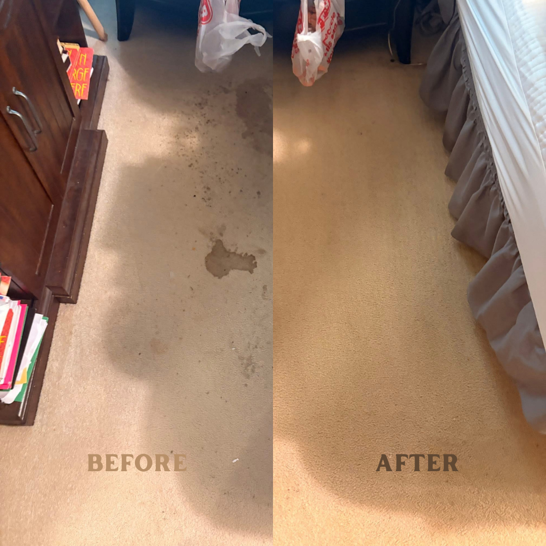 Side by image of carpet with the left side being before cleaning and the right being after cleaning.