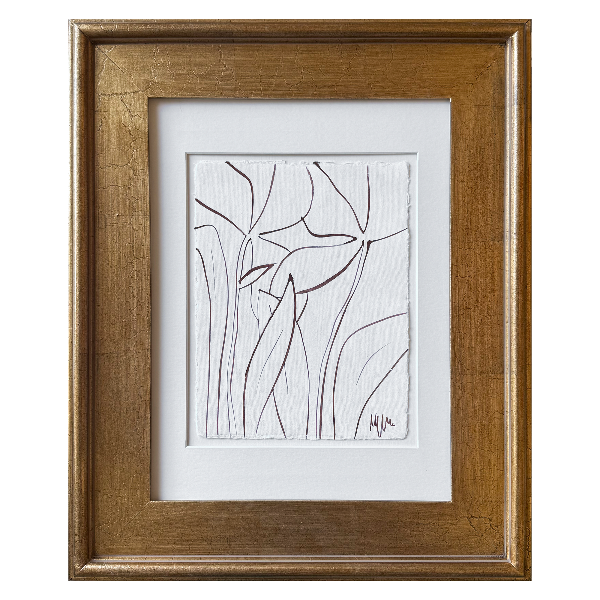 wide gold burgundy sketch.png