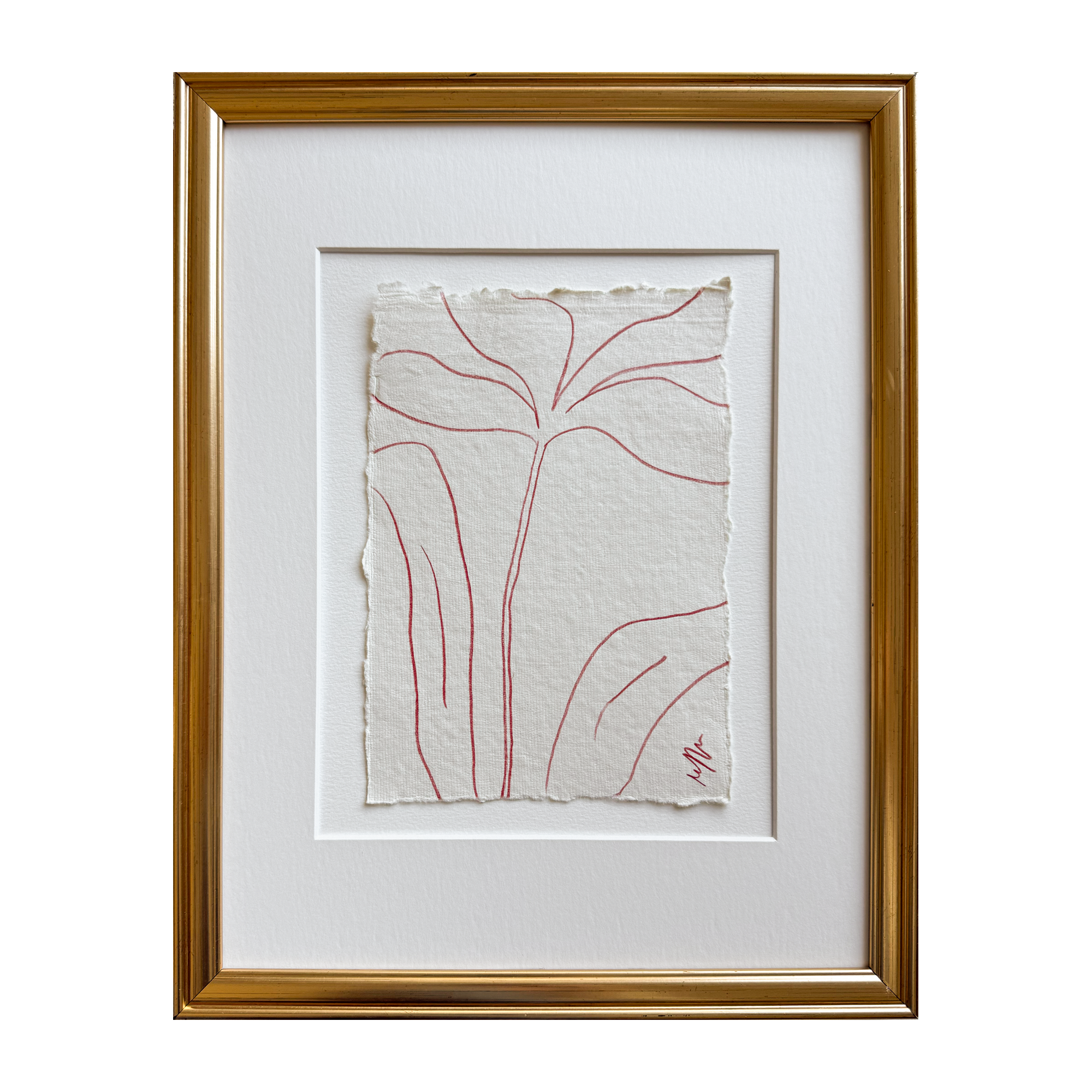 Burgundy Pencil Sketch (6x8)