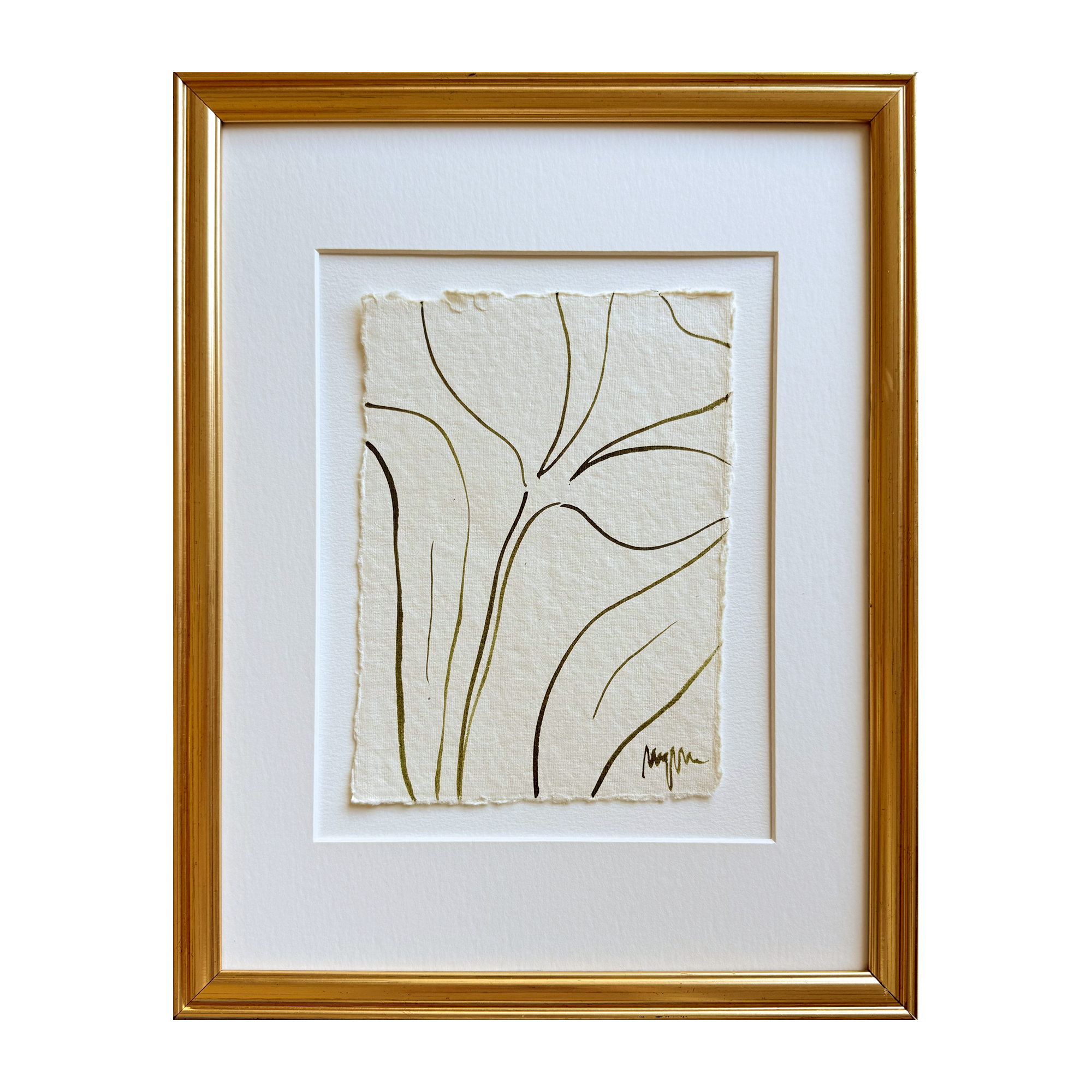 olive sketch 2-2.png