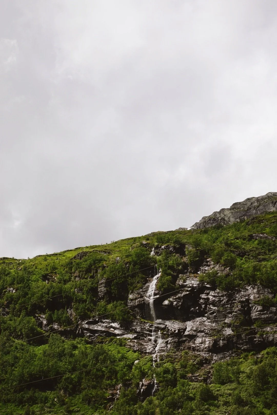 1958FB12-5CA9-4D84-9F71-50DEE5B3F7B2 2.JPG