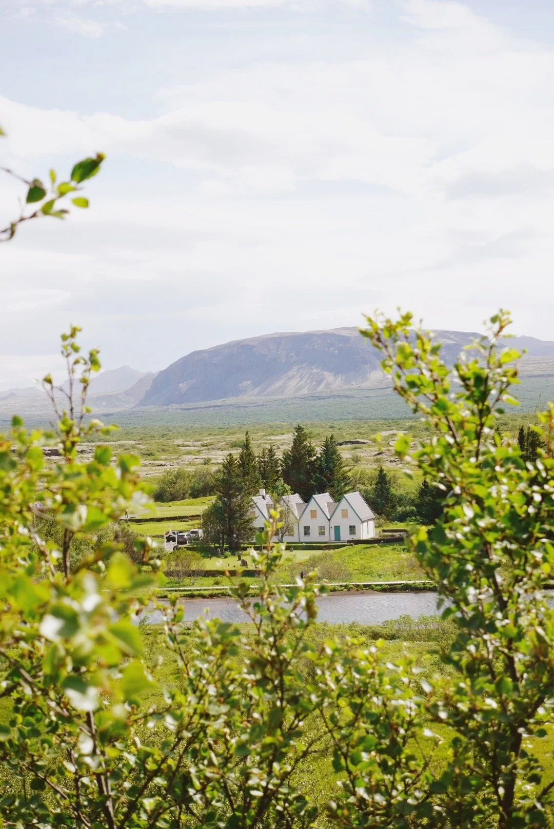 E527DAB8-A9D1-4D11-8CCC-FEA66C05E592 3.JPG