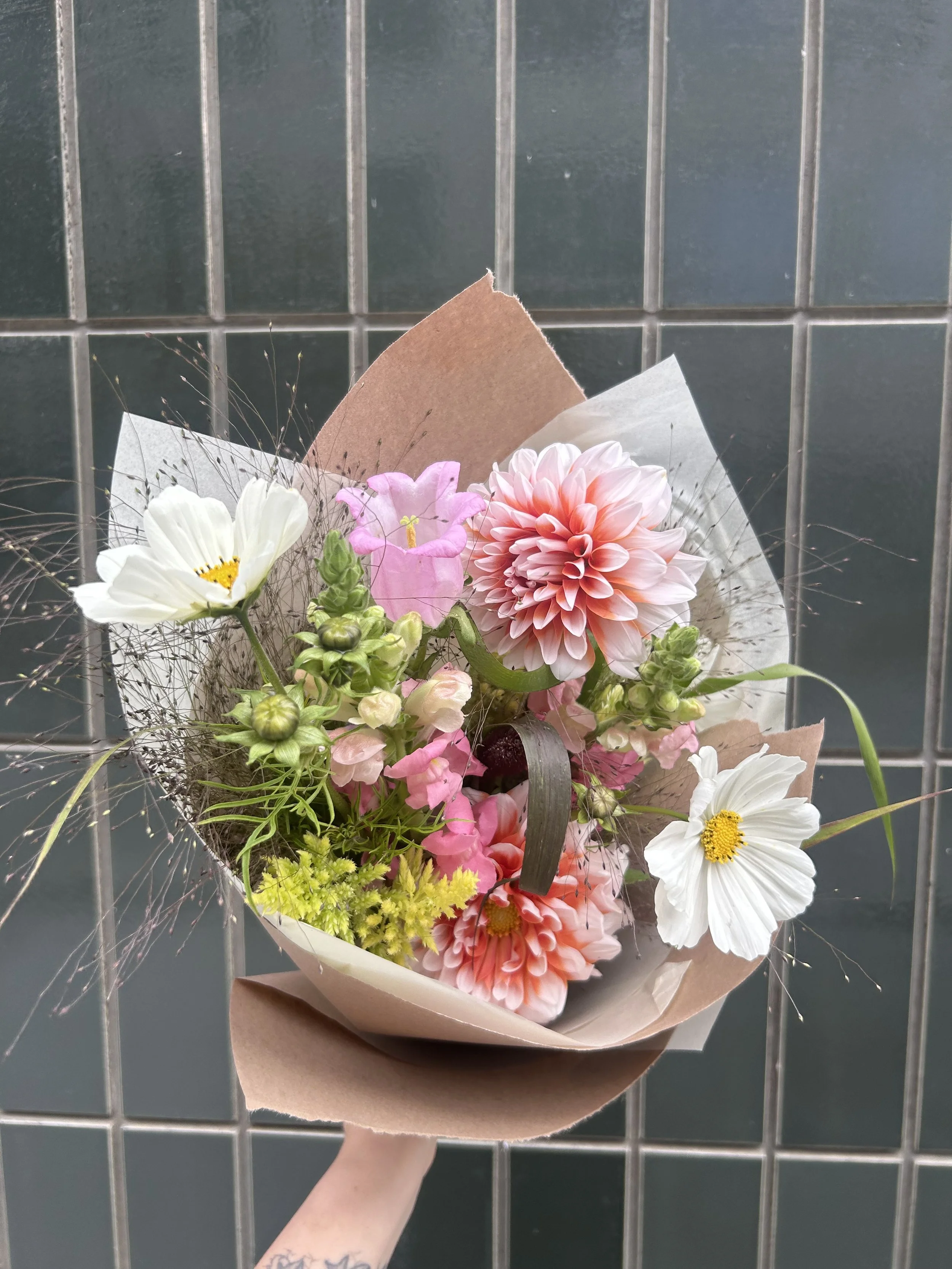 IMG_0271.jpeg
