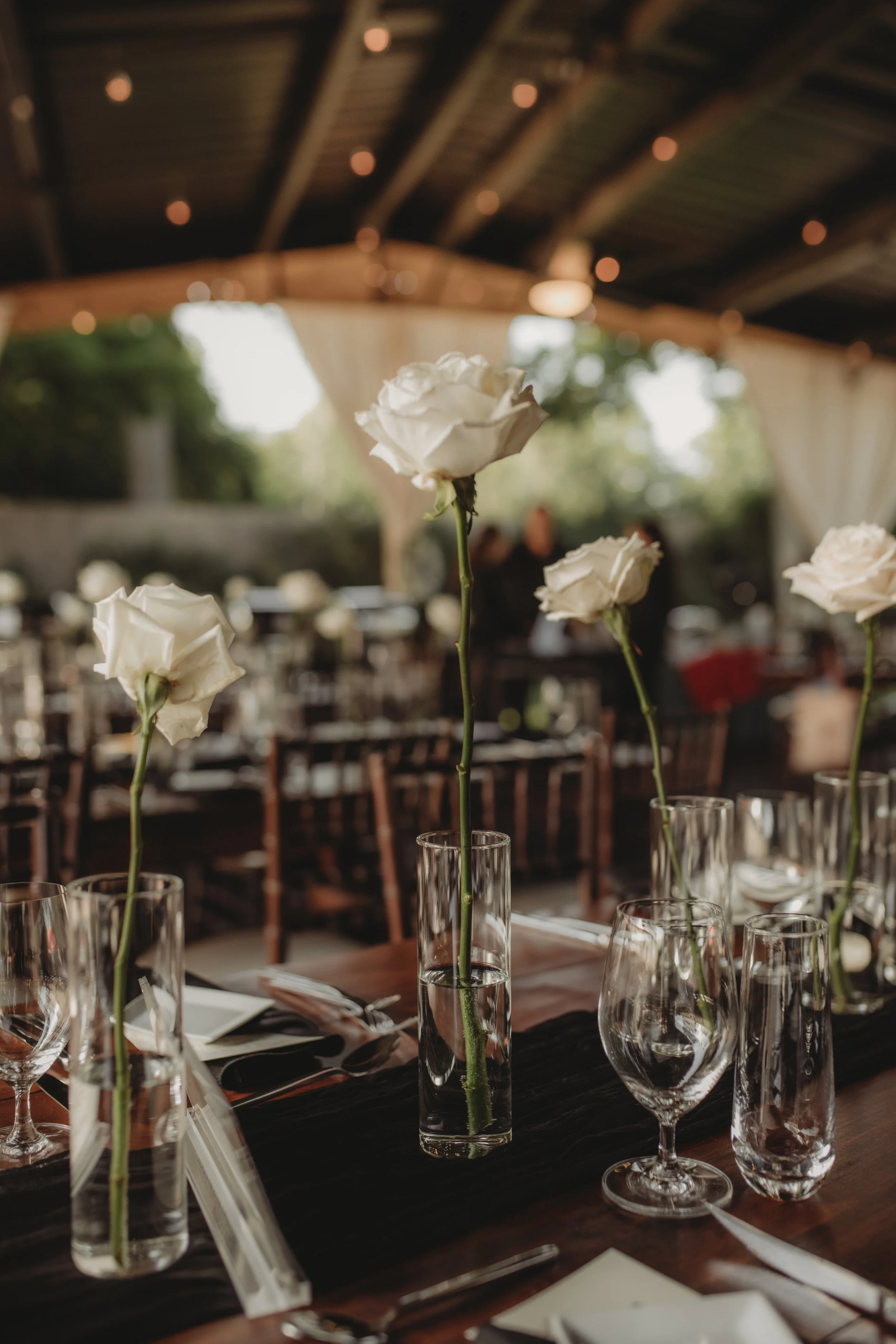 Close-up of white roses in tall glass vases, arranged on a table set for a formal event in a decorated venue with wood ceiling and string lights.