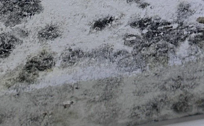 Chappaqua Mold Inspection And Testing