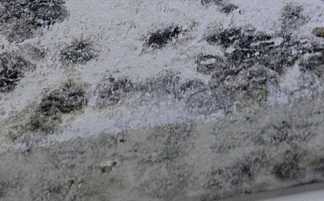 Stamford, CT Mold Inspection And Testing